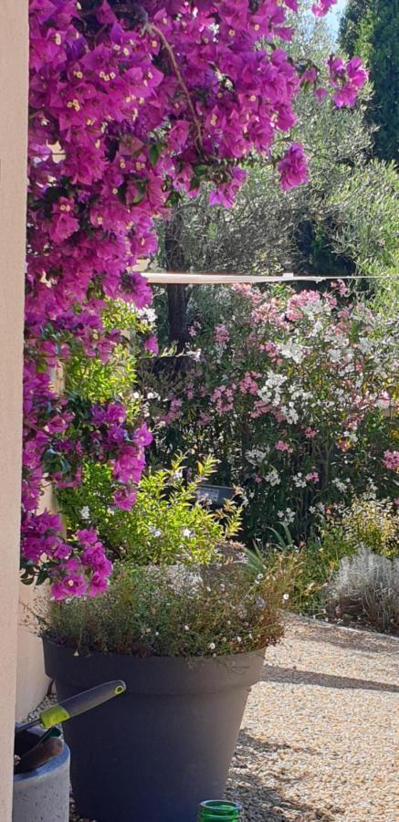 La Bastide Aux Oliviers Hotel Tourrettes-sur-Loup Kültér fotó