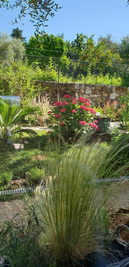 La Bastide Aux Oliviers Hotel Tourrettes-sur-Loup Kültér fotó